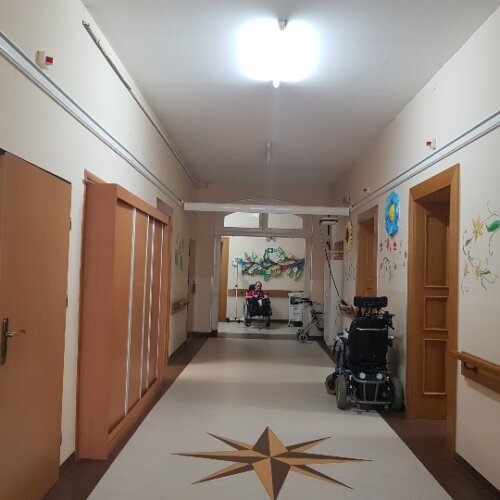 podnośnik do rehabilitacji